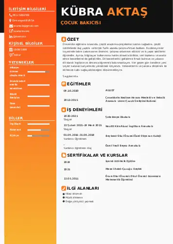 Çocuk Bakıcısı CV Örnekleri cv indir